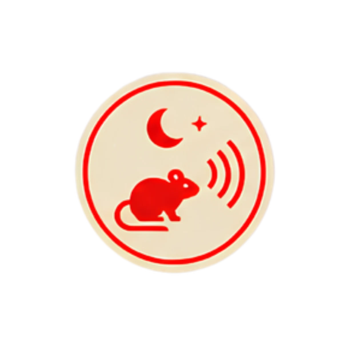 Strange Sounds At Night
